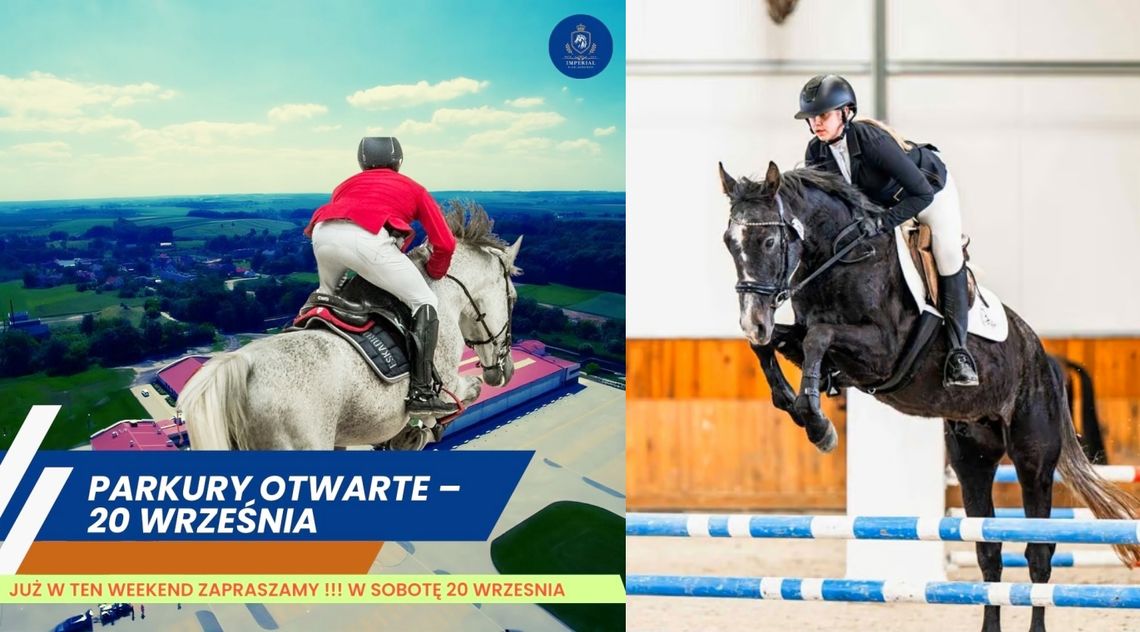 Treningi w konkursowym stylu. Parkury Otwarte w ten weekend w Zakrzowie