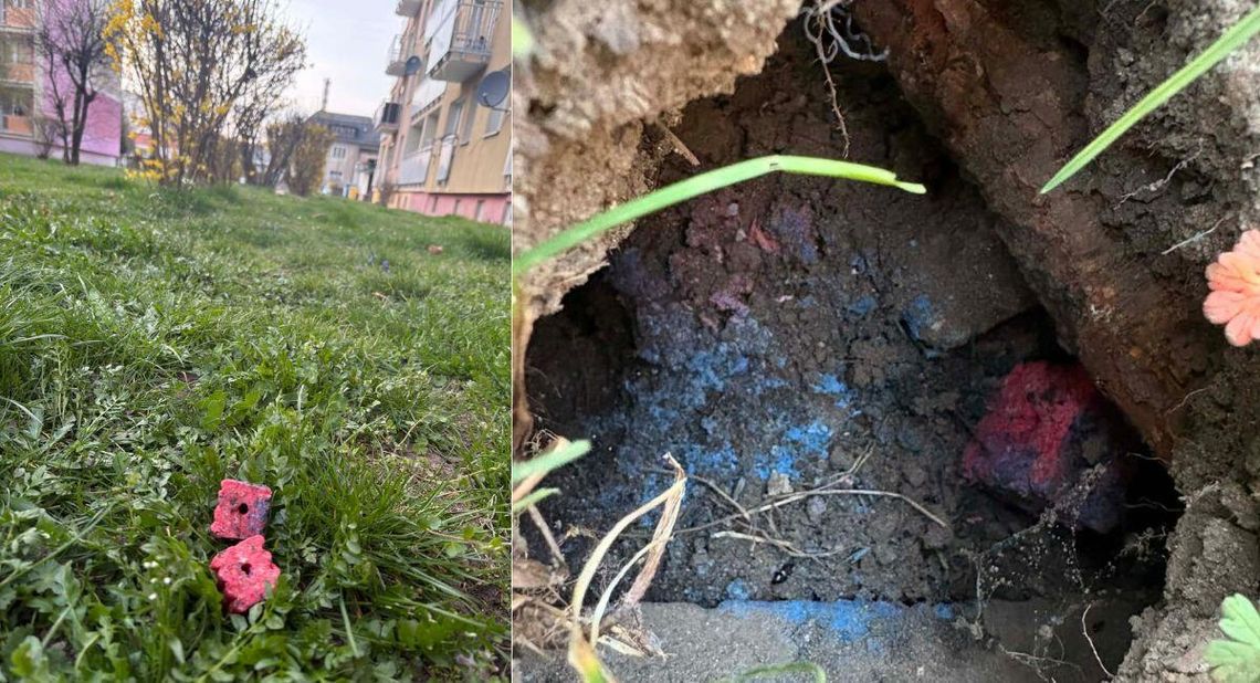 Trutka na szczury porozrzucana na osiedlu Zachód w Koźlu. Mieszkańcy alarmują