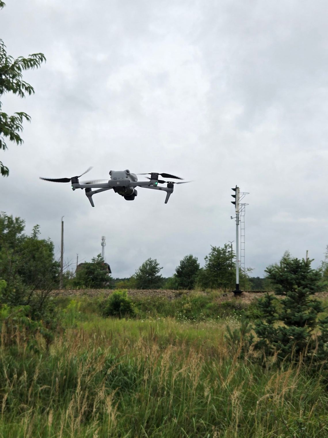 Trwają poszukiwania psa, który miał być przywiązany do drzewa. W akcji mieszkańcy i policja