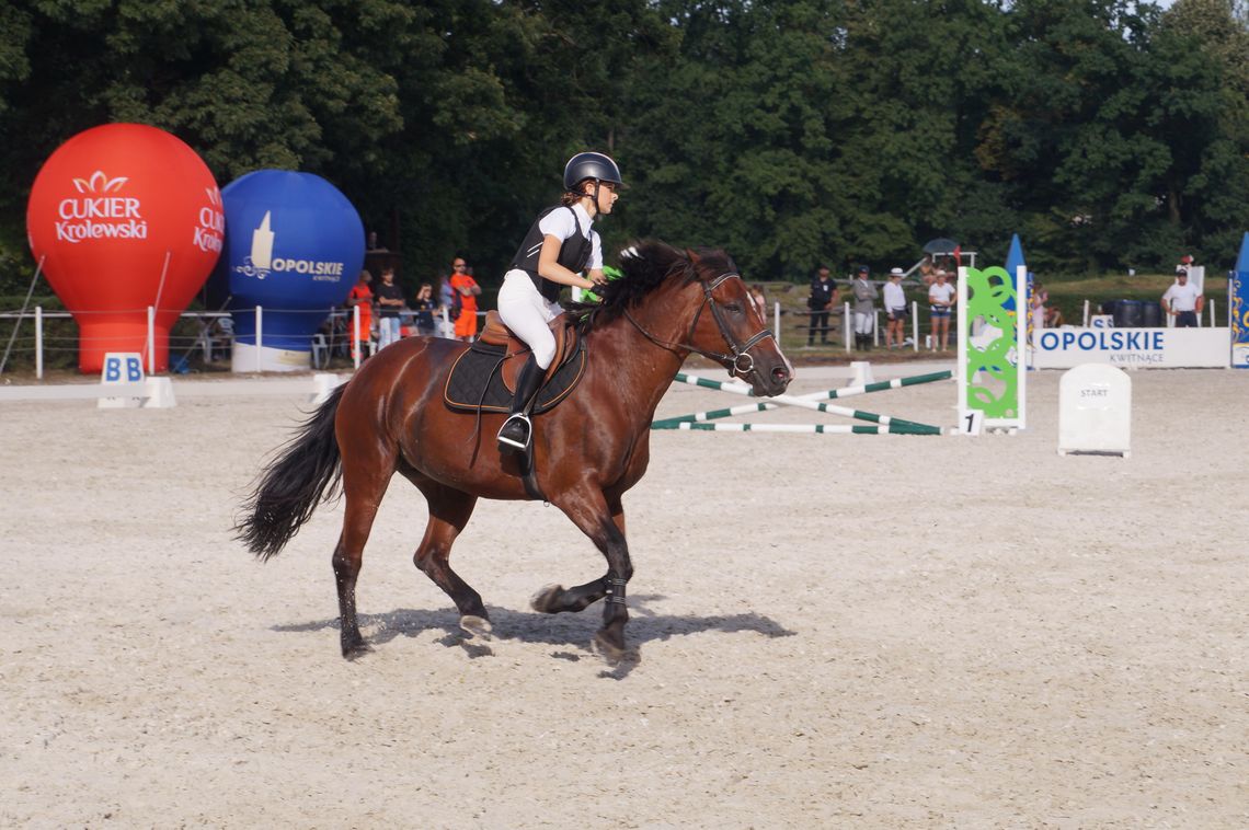 Trwają zapisy na Jeździeckie Warsztaty Szkoleniowe Trwają zapisy na Jeździeckie Warsztaty Szkoleniowe