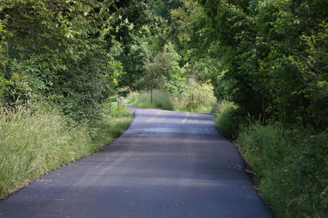 Ukończyli kozielską ścieżkę rowerową w terminie. ZDJĘCIA Ukończyli kozielską ścieżkę rowerową w terminie. ZDJĘCIA