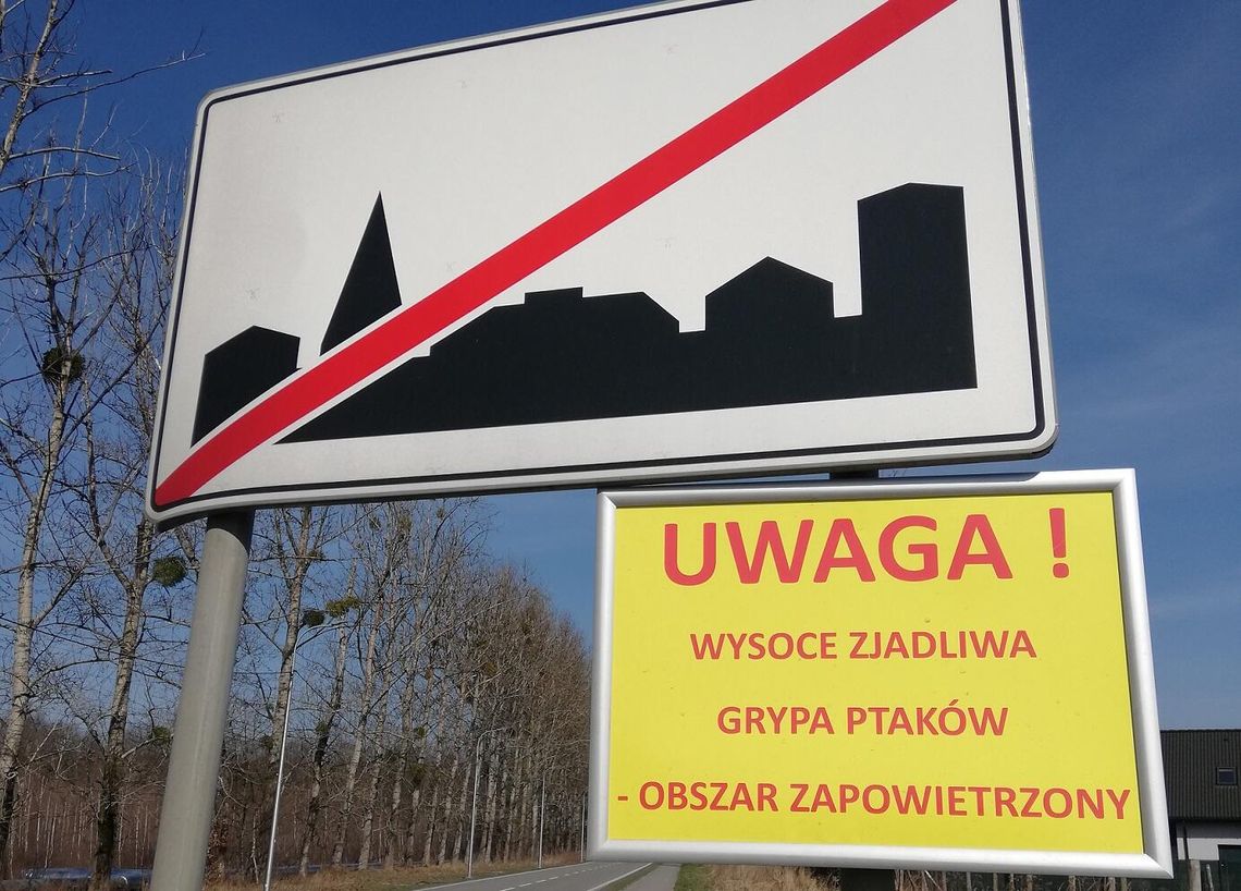 UWAGA!!! Wirus ptasiej grypy na Śląsku