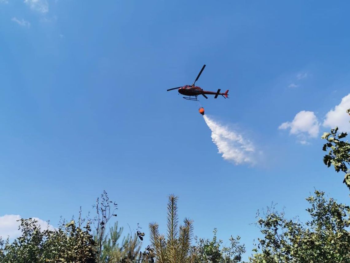 W akcji udział brało kilka zastępów straży, dromader i helikopter W akcji udział brało kilka zastępów straży, dromader i helikopter