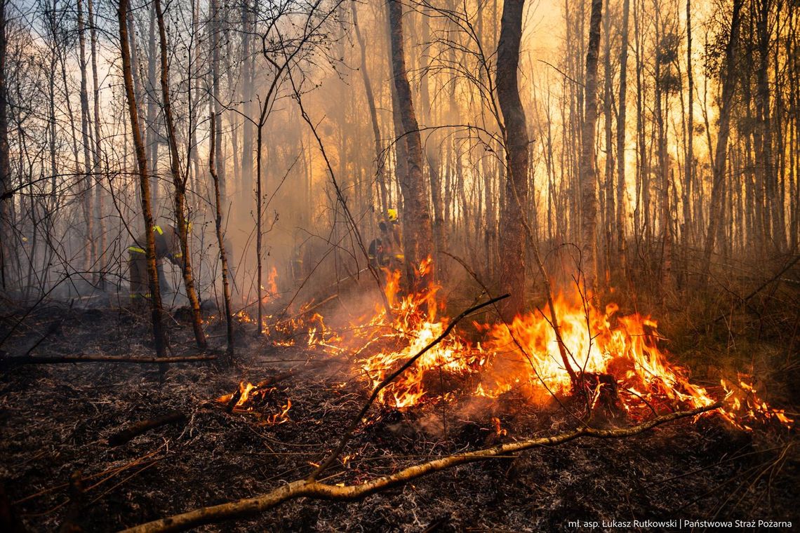 W całym kraju wzrasta zagrożenie pożarowe. Kary za umyślne podpalenia będą bardzo surowe