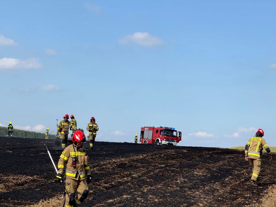 W gminie Polska Cerekiew doszło do pożaru ścierniska o powierzchni ok. 1,5 ha. ZDJĘCIA