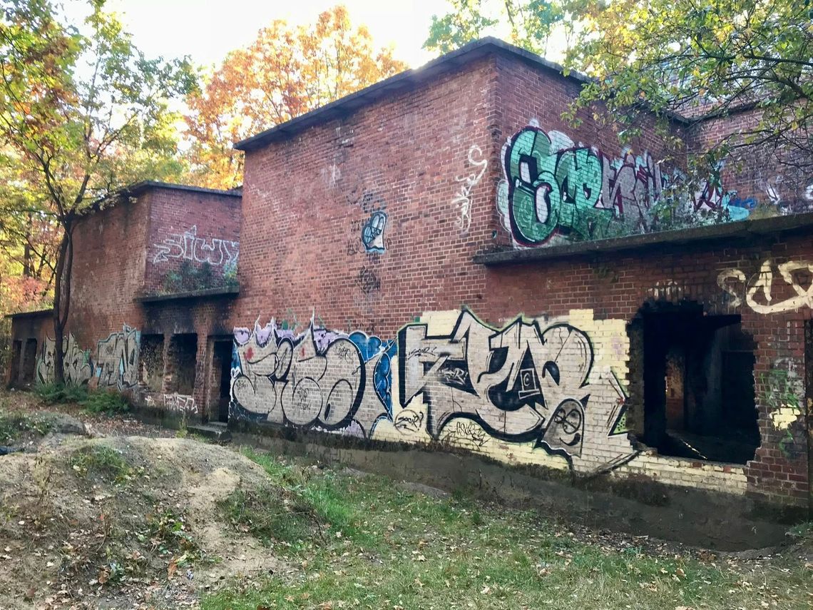 W Kędzierzynie-Koźlu powstanie nowa strzelnica? Sprawdź potencjalną lokalizację