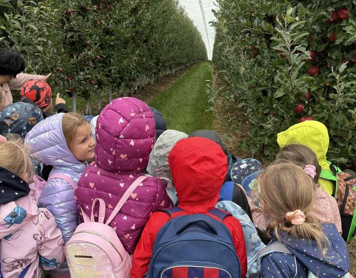 W sadzie jak w bajce. ZDJĘCIA