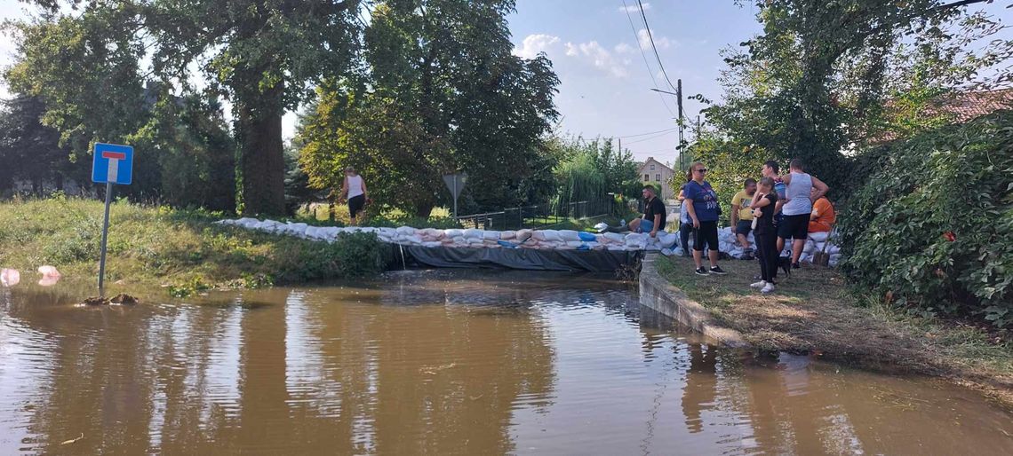 Wały są w kiepskim stanie i możemy przegrać walkę z żywiołem. ZDJĘCIA