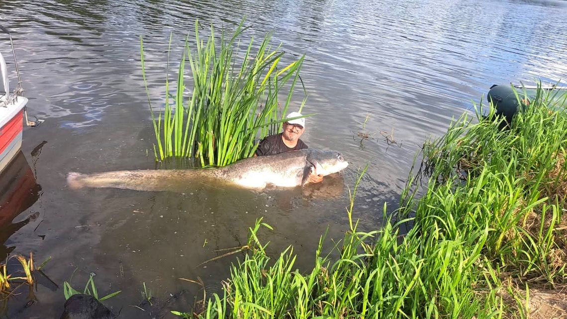 Wędkarz złowił na kozielskim odcinku Odry prawdziwe monstrum. ZDJĘCIA