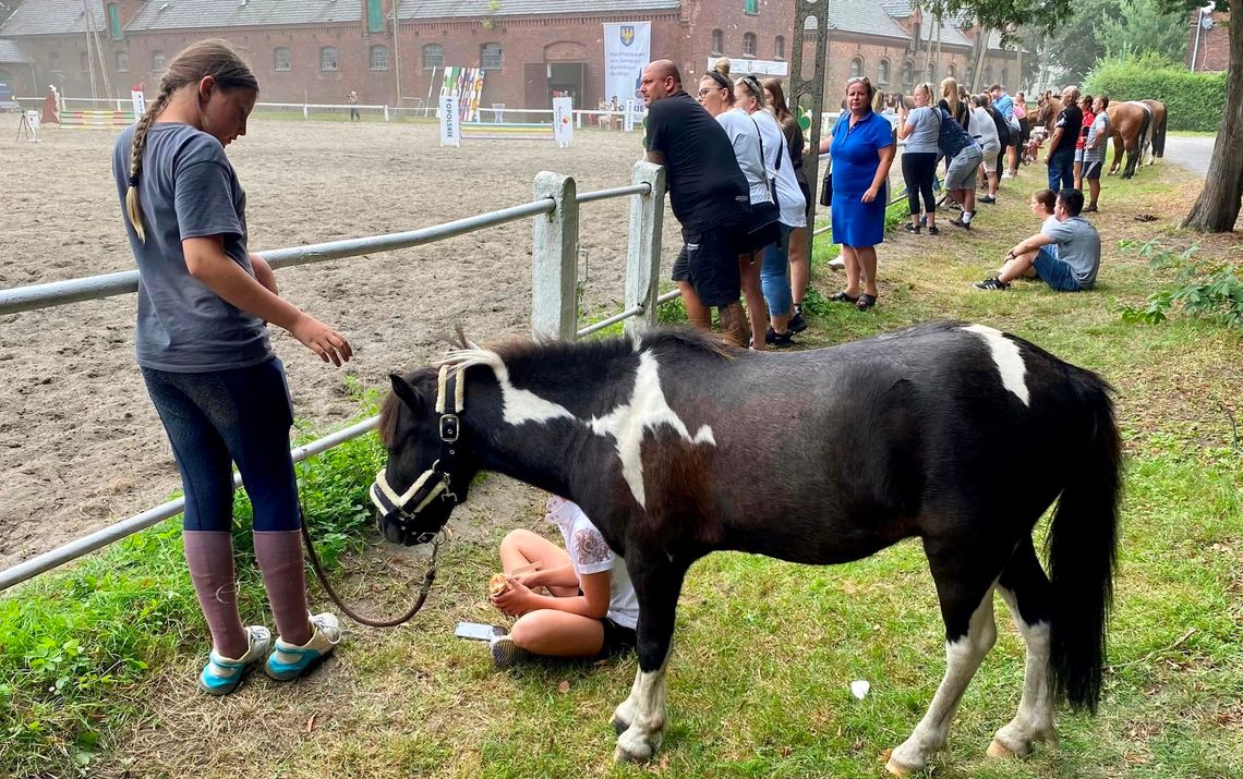 Weekend stojący pod znakiem koni także na kozielskiej wyspie