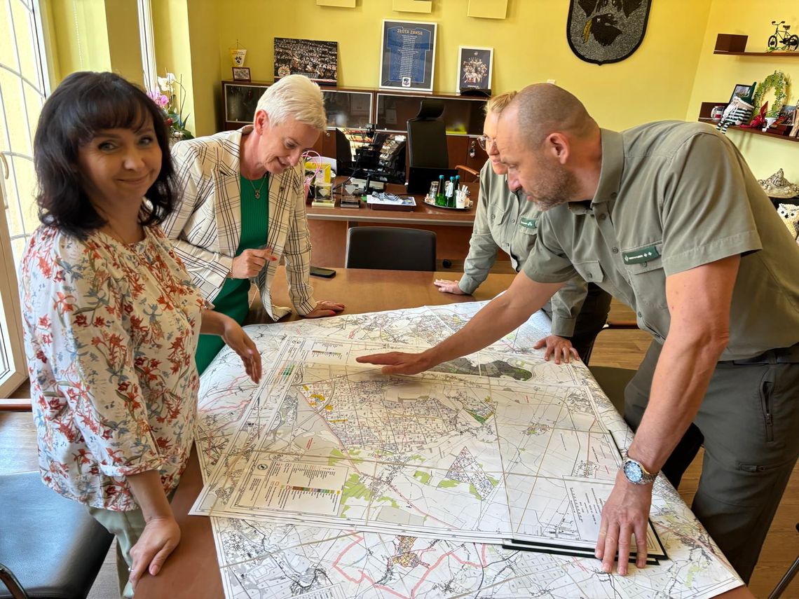 Więcej zieleni, mniej wycinek – nowa wizja dla lasów w mieście