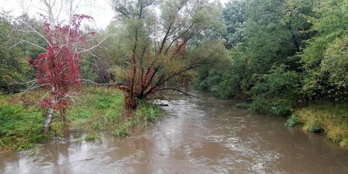 Woda zalała ponad 500 hektarów. W gminie wciąż mają powody do obaw