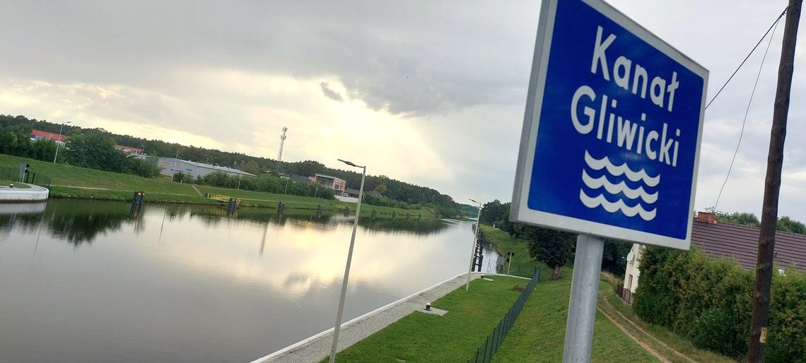 Wody Polskie: nie należy łączyć masowego pomoru ryb w Odrze z Kanałem Gliwickim
