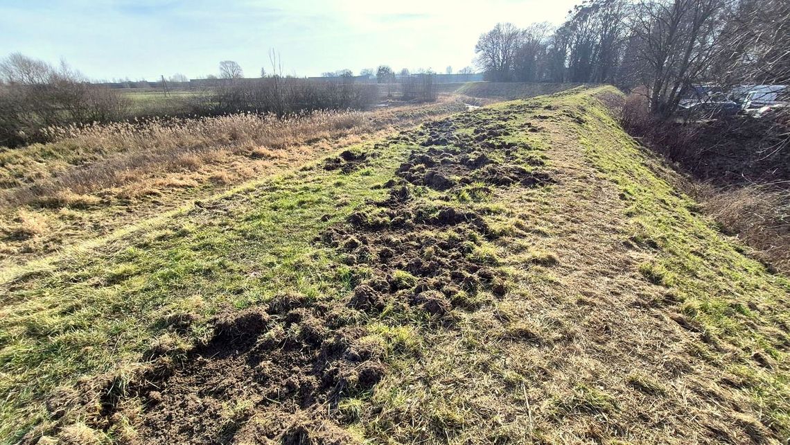 Wody Polskie skontrolują wały w Kędzierzynie-Koźlu i Bierawie. Ruszają przeglądy przeciwpowodziowe