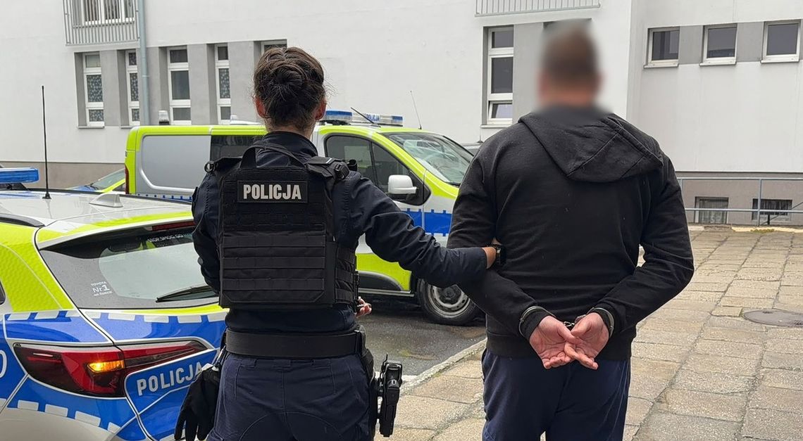 Wsiadł za kierownicę mimo dożywotniego zakazu. Usłyszał wyrok. WIDEO Wsiadł za kierownicę mimo dożywotniego zakazu. Usłyszał wyrok. WIDEO