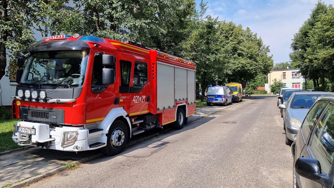 Wszystkie służby ratunkowe interweniowały w bloku przy ulicy Pionierów Wszystkie służby ratunkowe interweniowały w bloku przy ulicy Pionierów