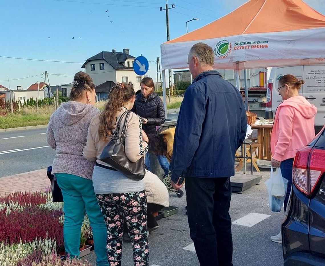 Wymiana elektrośmieci na sadzonki w Pawłowiczkach i Reńskiej Wsi