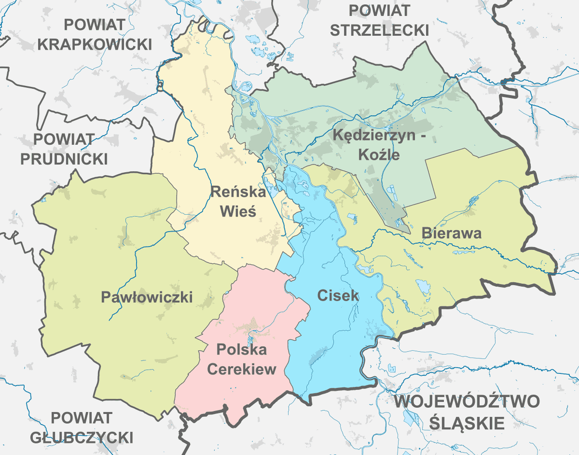 Wyniki kandydatów z powiatu kędzierzyńsko-kozielskiego do parlamentu