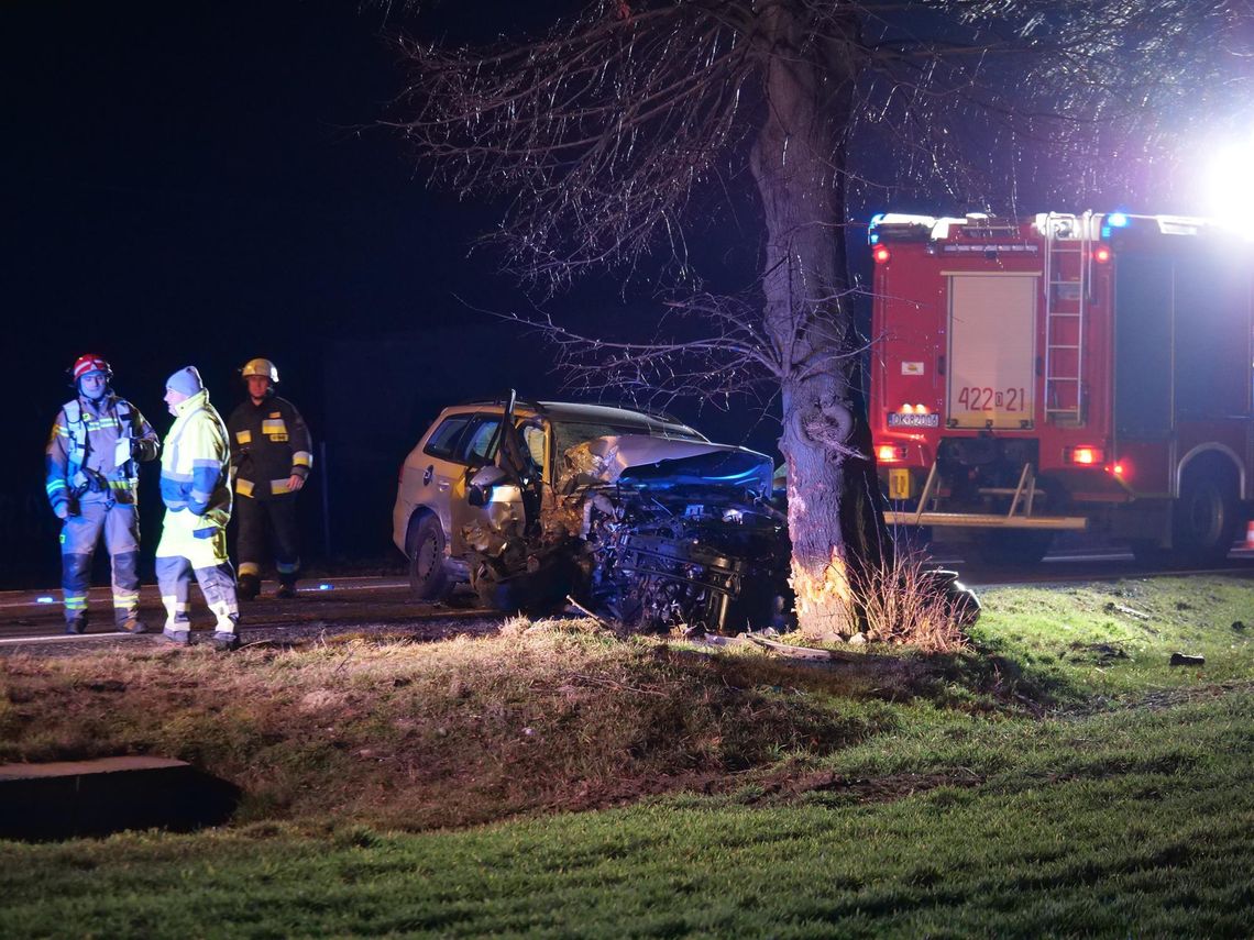 Wypadek na DK 40. Auto uderzyło w drzewo