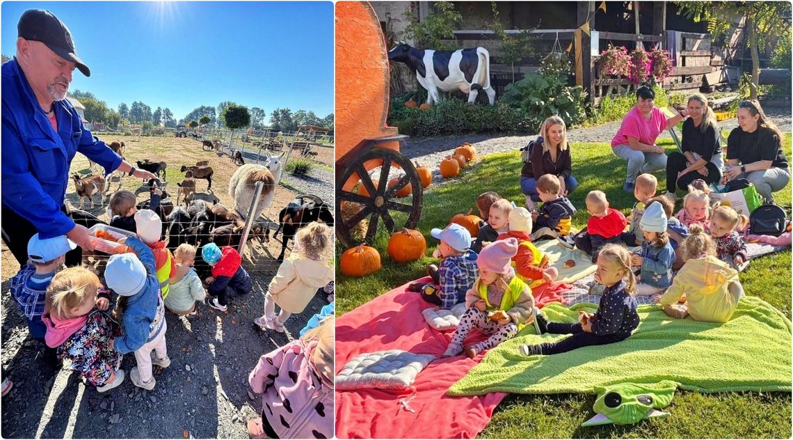Wyprawa do Mini Zoo pełna wrażeń. Maluchy poznały jego wyjątkowych mieszkańców. ZDJĘCIA Wyprawa do Mini Zoo pełna wrażeń. Maluchy poznały jego wyjątkowych mieszkańców. ZDJĘCIA