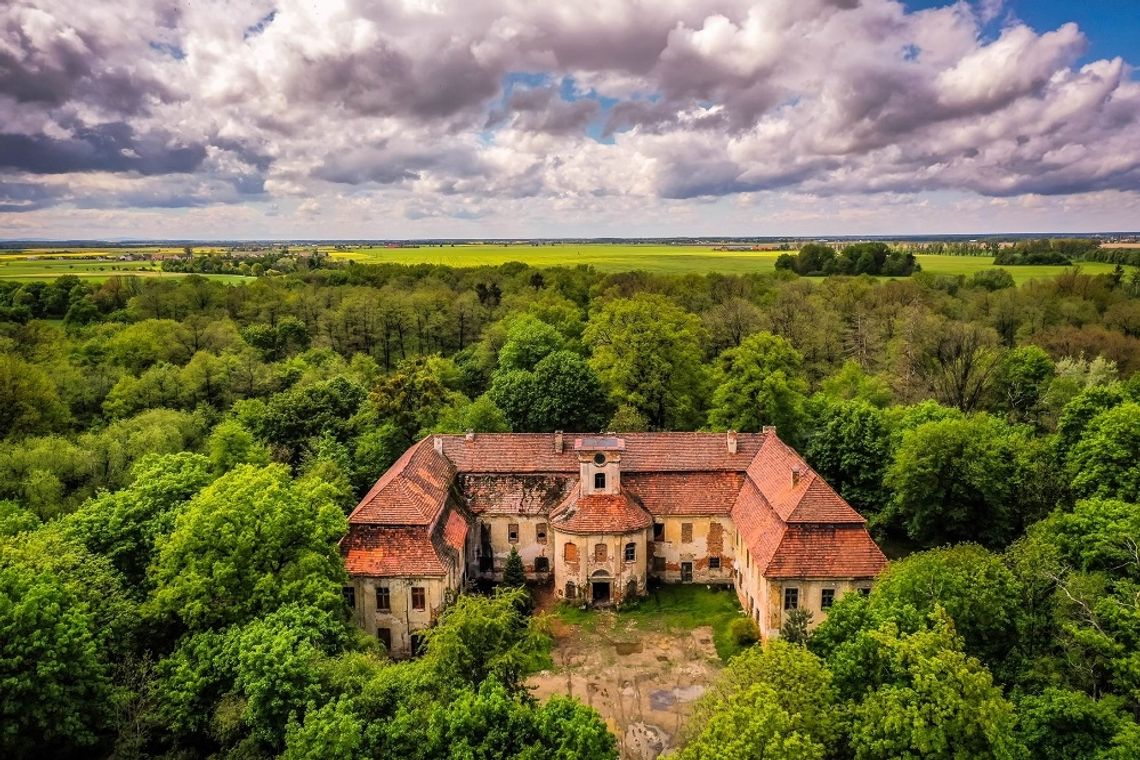 Wystawa rzeźb balansujących Jerzego Kędziory w Pałacu Rozkochów