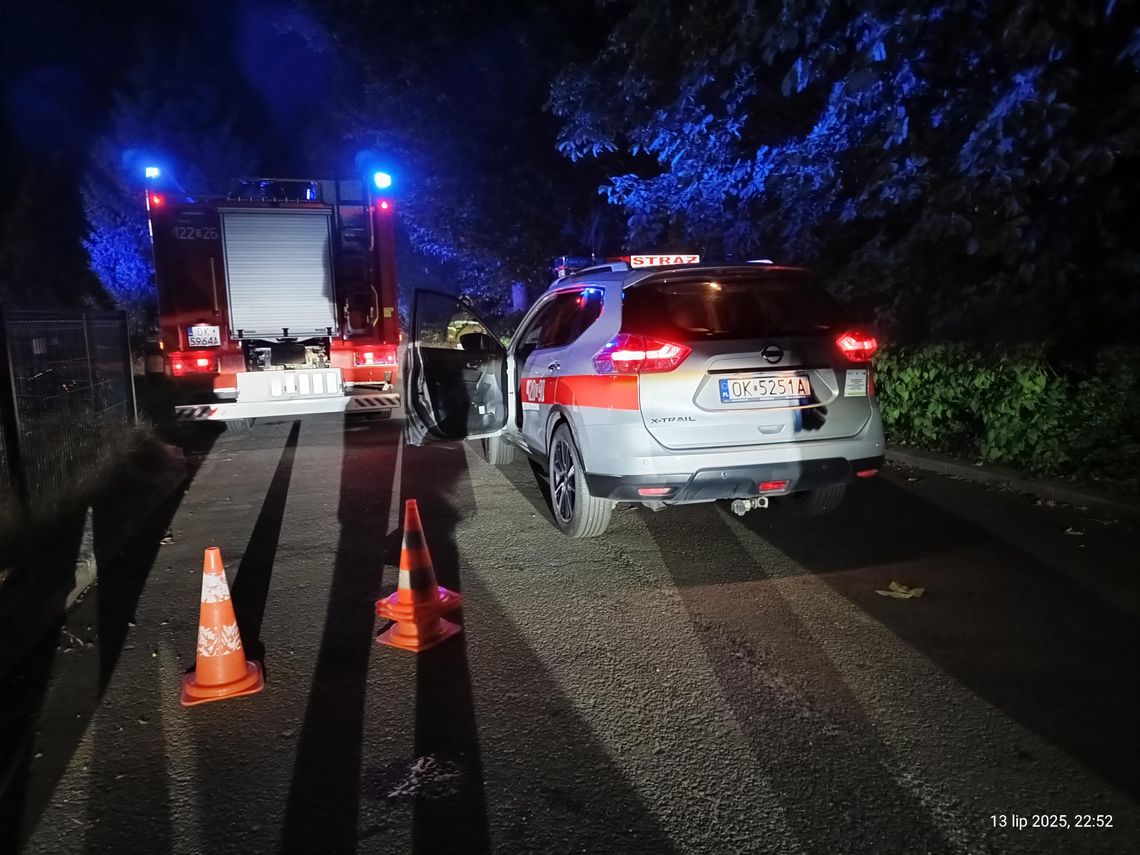 Interwencja służb ratunkowych w Dziergowicach