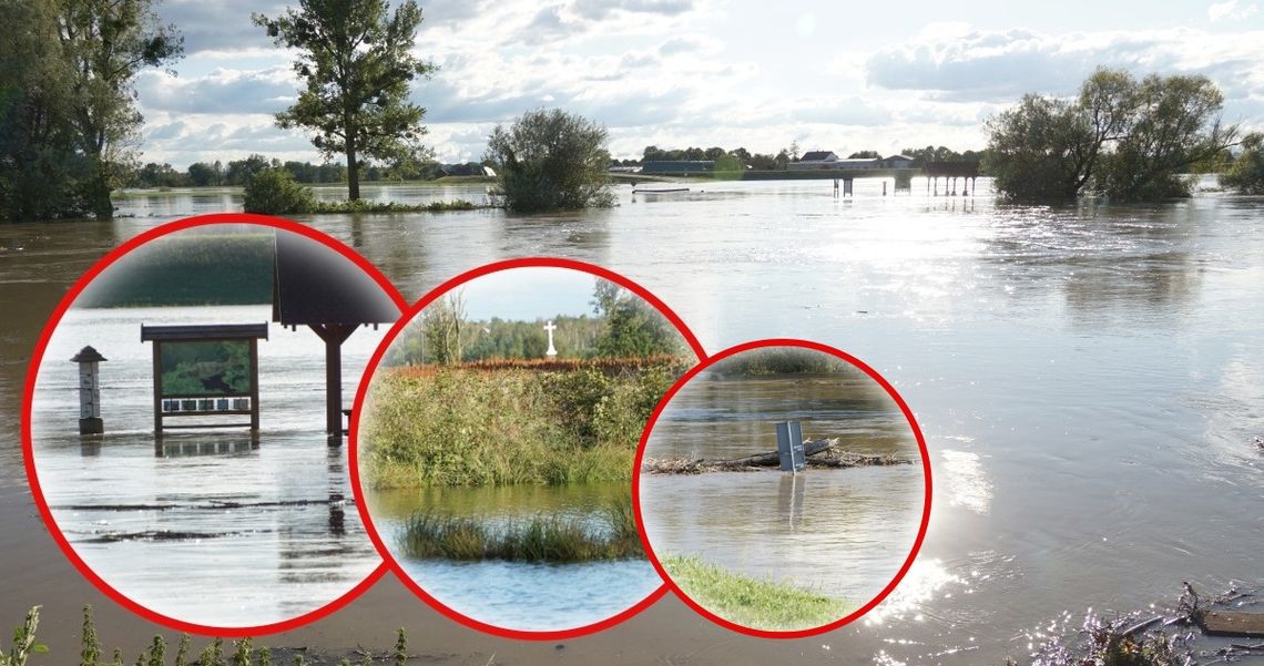 Z wielkim niepokojem w Dziergowicach i Przewozie spoglądają na Odrę. ZDJĘCIA