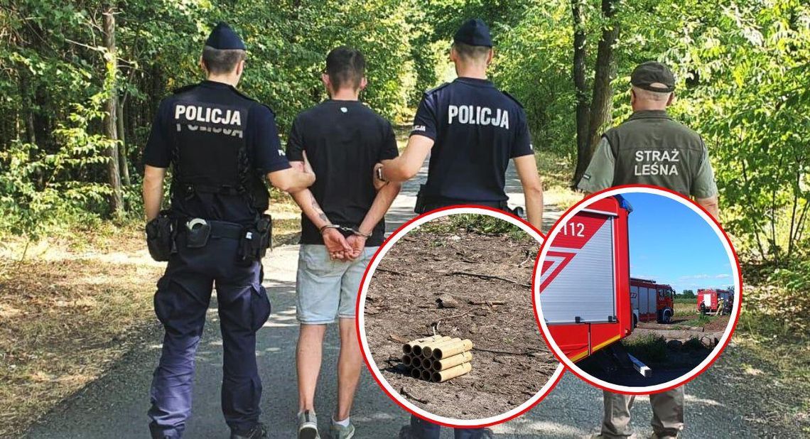 Zabawa fajerwerkami zakończyła się pożarem lasu. Mieszkaniec Kędzierzyna-Koźla stanie przed sądem Zabawa fajerwerkami zakończyła się pożarem lasu. Mieszkaniec Kędzierzyna-Koźla stanie przed sądem