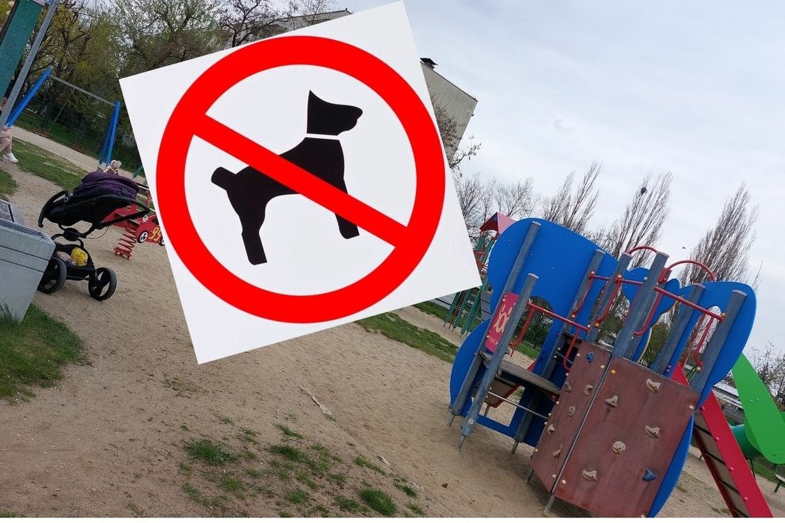 Zakaz wprowadzania psów na place zabaw. Pojawią się nowe tabliczki