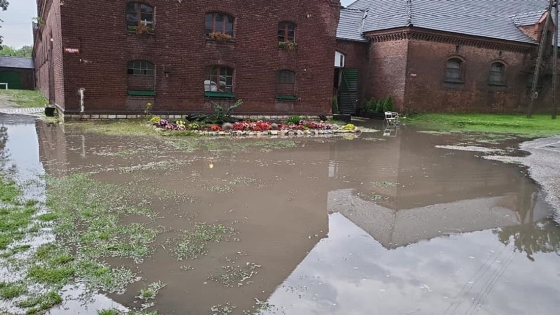 Zalana stadnina koni na kozielskiej wyspie. ZDJĘCIA