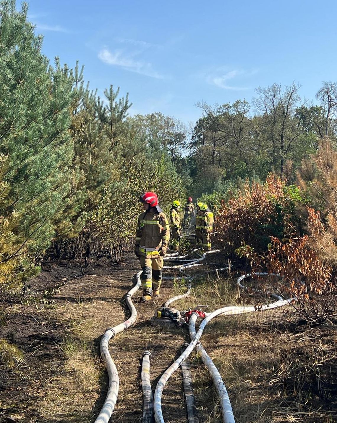 Zaostrzenie kar dla osób, które odpowiadają za spowodowanie zagrożenia pożarowego