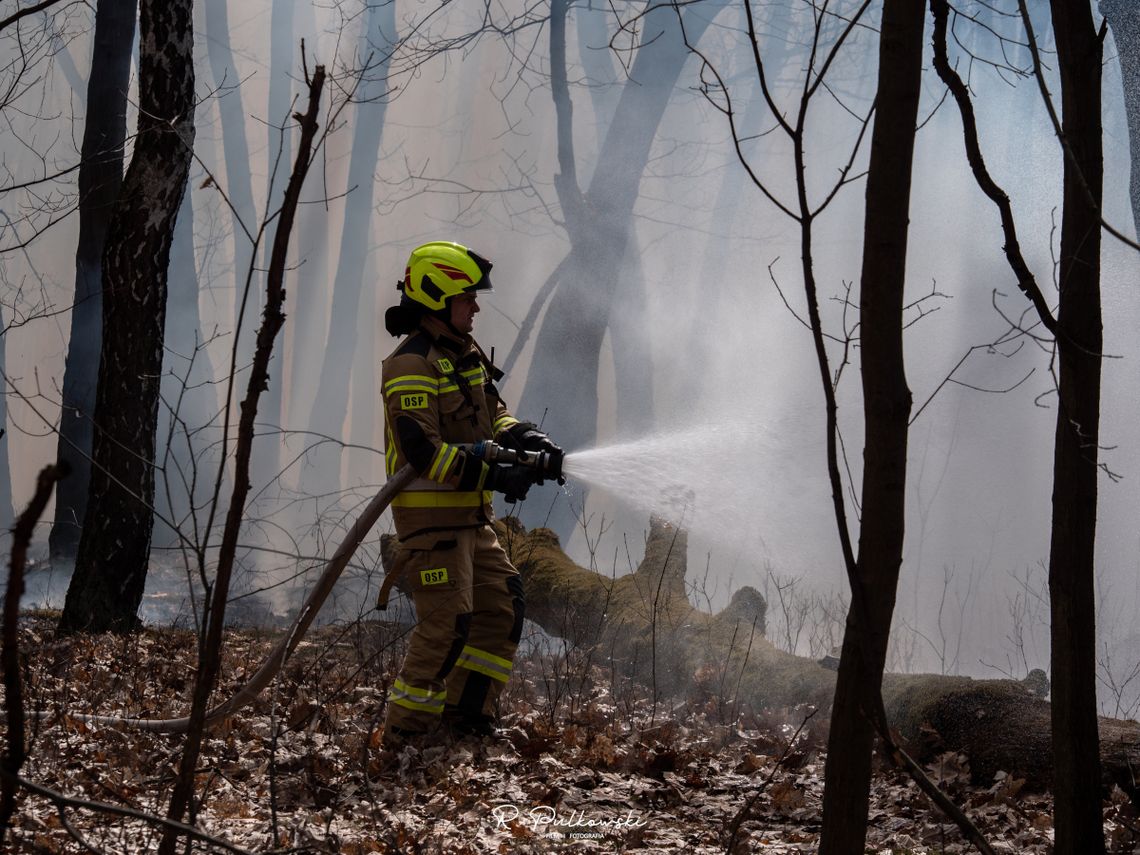 Zdaniem strażaków rok 2022 był spokojniejszy, niż poprzedni