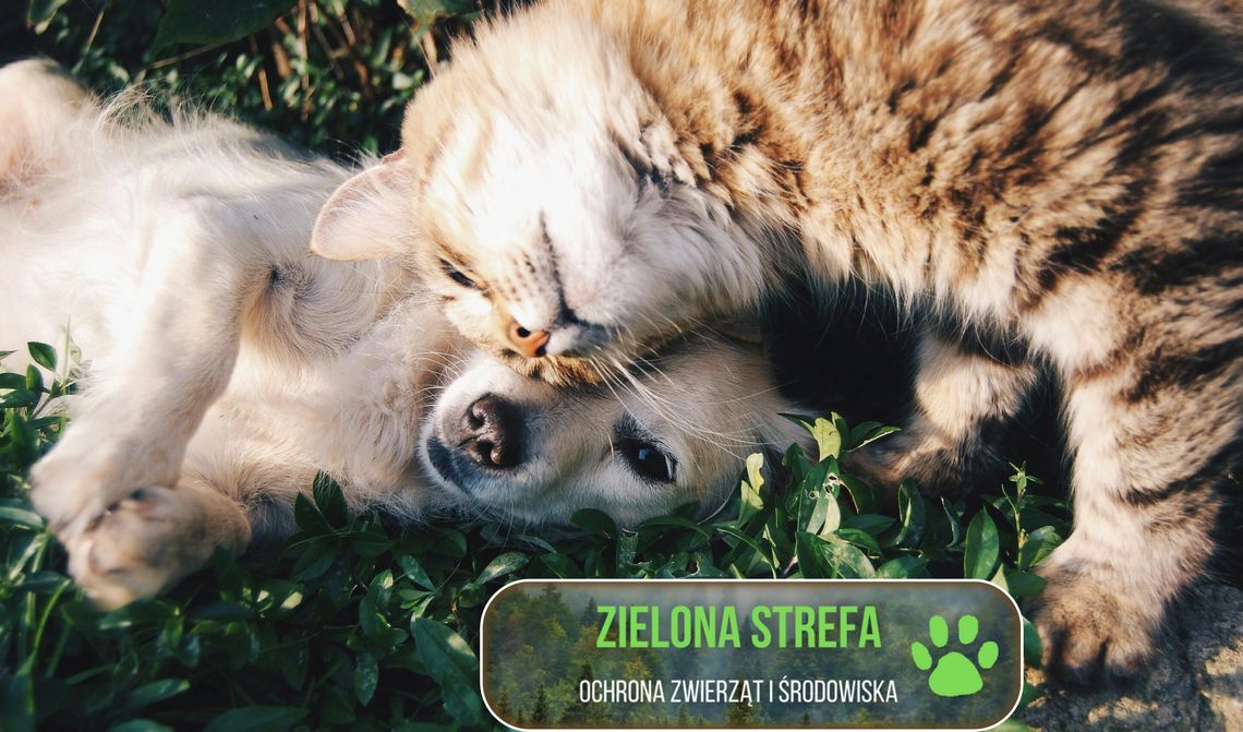 Zielona strefa - ochrona zwierząt i środowiska