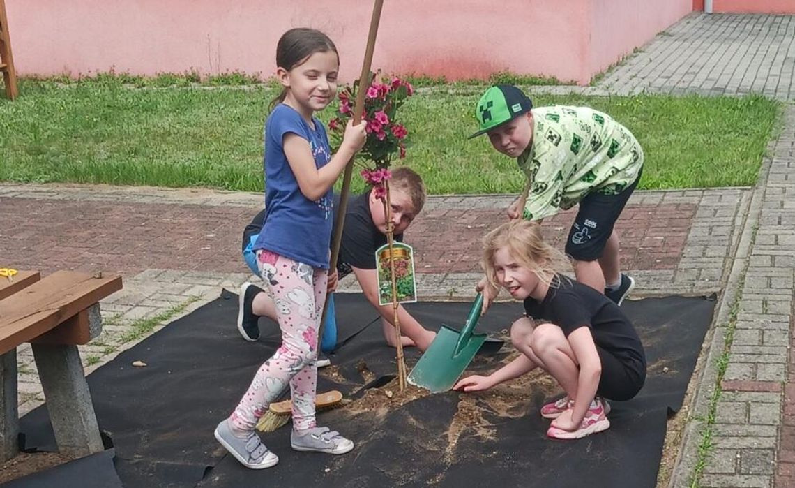 Zielone pracownie w Kędzierzynie-Koźlu – edukacja bliżej natury
