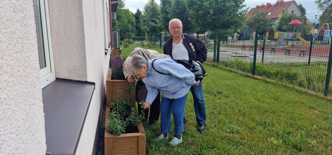 Ziołowe sekrety kędzierzyńskich seniorów. ZDJĘCIA Ziołowe sekrety kędzierzyńskich seniorów. ZDJĘCIA