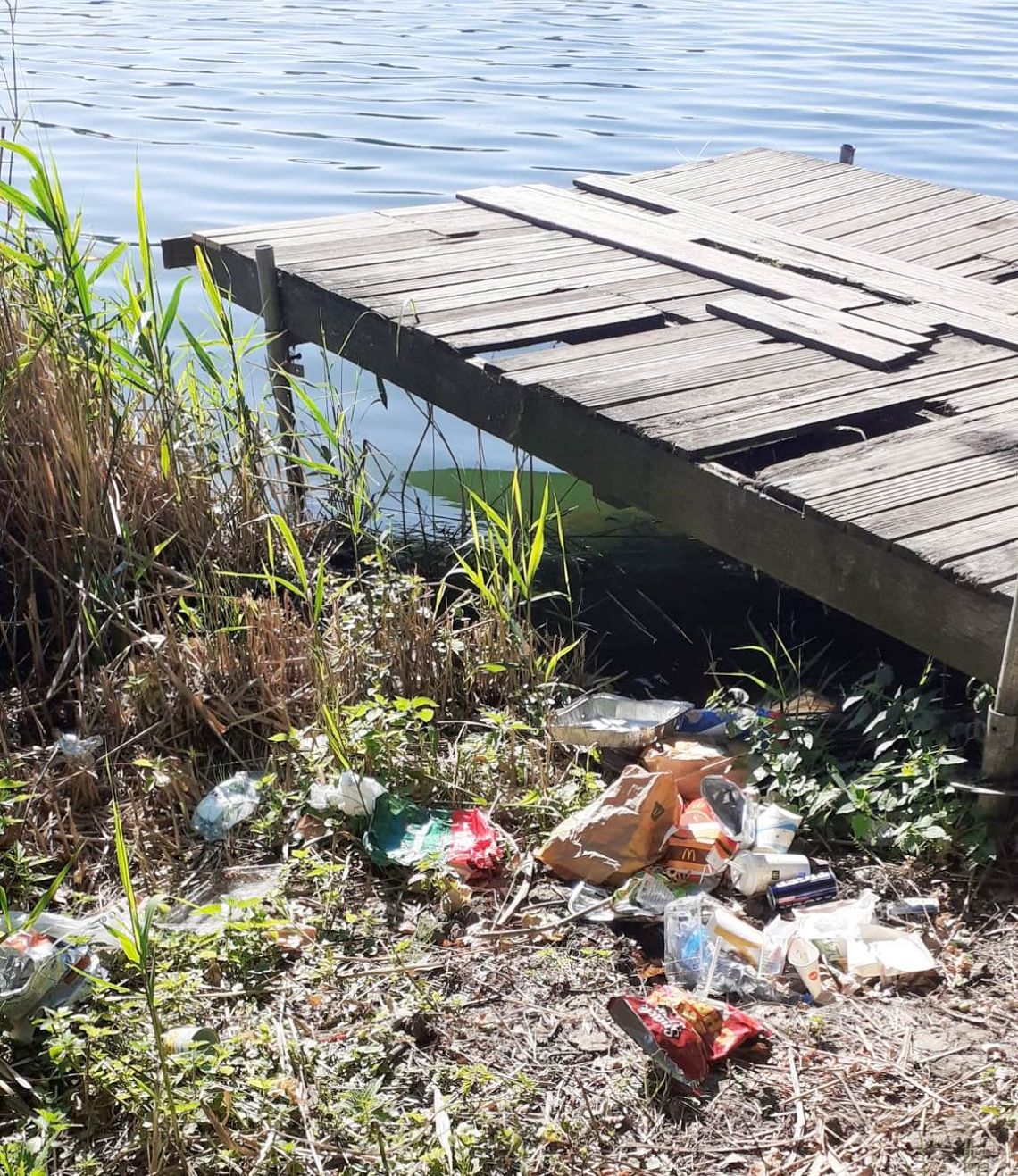 Zniszczą, naśmiecą i sobie pójdą. Powtórka z historii na Dębowej. ZDJĘCIA