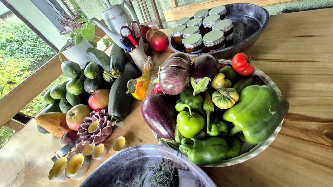 Miodowy Zakątek – sielska oaza w sercu natury. Wyjątkowe miejsce, które pokochasz