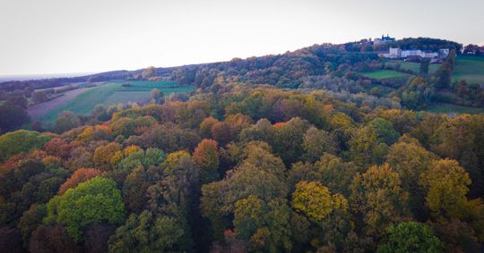 foto: Rafał Pulkowski