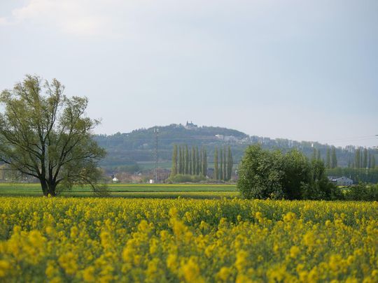 foto: Rafał Pulkowski