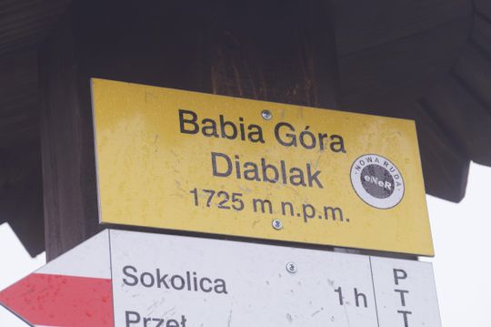 foto: Andrzej Kopacki