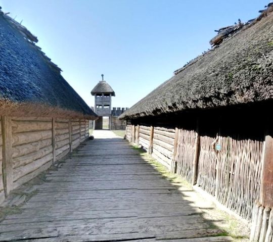 Czy dawna kozielska osada przypominała swoim wyglądem Biskupin?