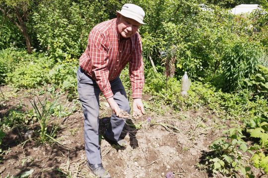 Pan Eugeniusz prezentuje obraz zniszczeń w swoim ogrodzie