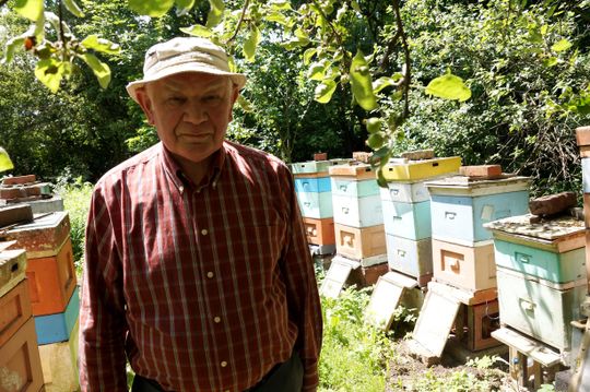 Senior z Koźla obawia się też o swoją pasiekę