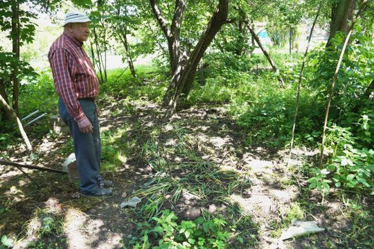 Trzy miesiące ciężkiej pracy poszły na marne