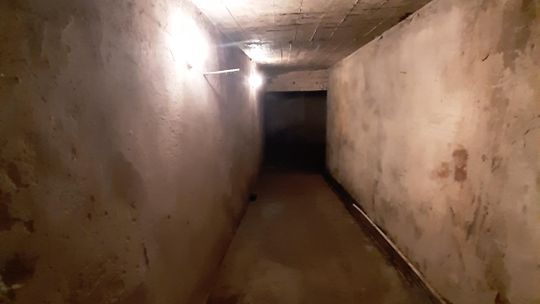 Tajemniczy tunel w piwnicach większyckiego pałacu