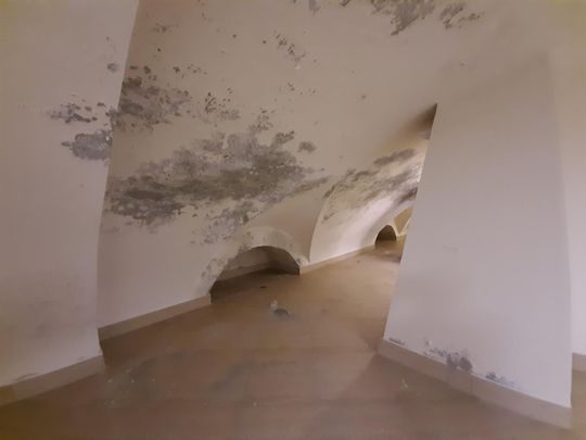 Wejścia do podziemnych korytarzy znajdują się m.in. w piwnicach kościoła pw. Najświętszej Marii Panny przy ul. Czerwińskiego