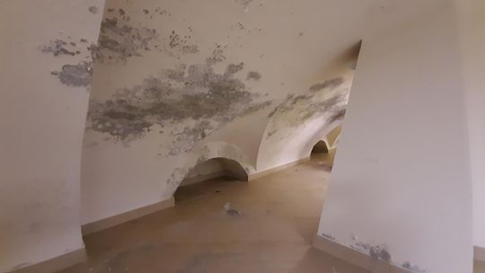 Wejścia do podziemnych korytarzy znajdują się m.in. w piwnicach kościoła pw. Najświętszej Marii Panny przy ul. Czerwińskiego