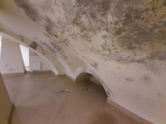 Wejścia do podziemnych korytarzy znajdują się m.in. w piwnicach kościoła pw. Najświętszej Marii Panny przy ul. Czerwińskiego