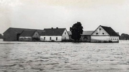 Powódź na Odrze w rejonie Koźla, 28-29.07.1939 r. Zbiory Muzeum Ziemi Kozielskiej