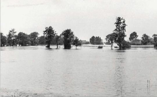 Powódź na Odrze w rejonie Koźla, 28-29.07.1939 r. Zbiory Muzeum Ziemi Kozielskiej